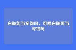 白鼬能当宠物吗，可爱白鼬可当宠物吗
