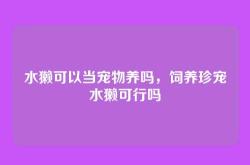 水獭可以当宠物养吗，饲养珍宠水獭可行吗