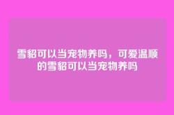 雪貂可以当宠物养吗，可爱温顺的雪貂可以当宠物养吗
