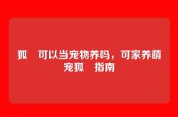 狐獴可以当宠物养吗，可家养萌宠狐獴指南