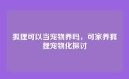 狐狸可以当宠物养吗，可家养狐狸宠物化探讨