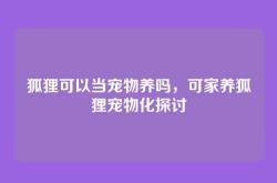 狐狸可以当宠物养吗，可家养狐狸宠物化探讨