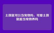 土拨鼠可以当宠物吗，可爱土拨鼠能当宠物养吗