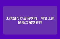 土拨鼠可以当宠物吗，可爱土拨鼠能当宠物养吗