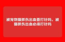 被宠物猫抓伤出血要打针吗，被猫抓伤出血必须打针吗