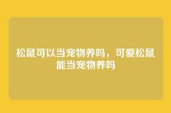 松鼠可以当宠物养吗，可爱松鼠能当宠物养吗