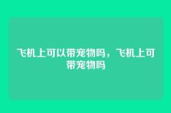 飞机上可以带宠物吗，飞机上可带宠物吗