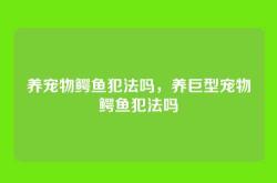 养宠物鳄鱼犯法吗，养巨型宠物鳄鱼犯法吗