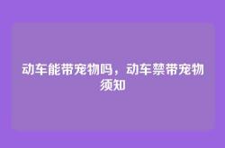 动车能带宠物吗，动车禁带宠物须知