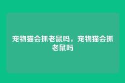 宠物猫会抓老鼠吗，宠物猫会抓老鼠吗