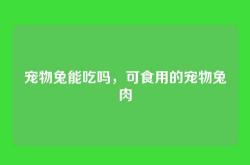 宠物兔能吃吗，可食用的宠物兔肉