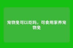 宠物兔可以吃吗，可食用家养宠物兔