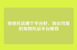 宠物托运哪个平台好，放心可靠的宠物托运平台推荐