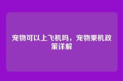宠物可以上飞机吗，宠物乘机政策详解