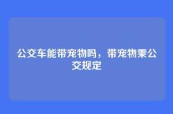 公交车能带宠物吗，带宠物乘公交规定