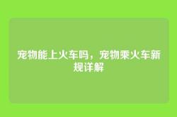 宠物能上火车吗，宠物乘火车新规详解