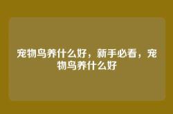 宠物鸟养什么好，新手必看，宠物鸟养什么好
