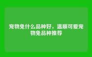 宠物兔什么品种好，温顺可爱宠物兔品种推荐