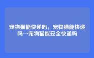宠物猫能快递吗，宠物猫能快递吗→宠物猫能安全快递吗