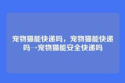 宠物猫能快递吗，宠物猫能快递吗→宠物猫能安全快递吗