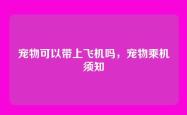 宠物可以带上飞机吗，宠物乘机须知