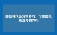 鼹鼠可以当宠物养吗，可爱鼹鼠能当宠物养吗