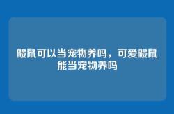 鼹鼠可以当宠物养吗，可爱鼹鼠能当宠物养吗