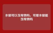 水貂可以当宠物吗，可爱水貂能当宠物吗