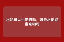 水貂可以当宠物吗，可爱水貂能当宠物吗