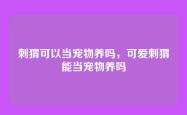 刺猬可以当宠物养吗，可爱刺猬能当宠物养吗