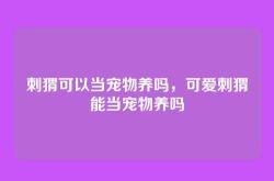 刺猬可以当宠物养吗，可爱刺猬能当宠物养吗