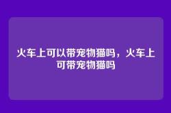 火车上可以带宠物猫吗，火车上可带宠物猫吗
