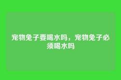 宠物兔子要喝水吗，宠物兔子必须喝水吗