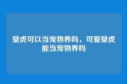 壁虎可以当宠物养吗，可爱壁虎能当宠物养吗