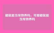 鼹鼠能当宠物养吗，可爱鼹鼠能当宠物养吗