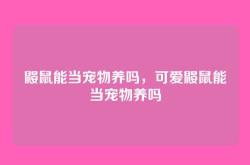 鼹鼠能当宠物养吗，可爱鼹鼠能当宠物养吗