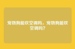 宠物狗能吹空调吗，宠物狗能吹空调吗？