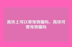 高铁上可以带宠物猫吗，高铁可带宠物猫吗