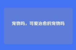 宠物吗，可爱治愈的宠物吗