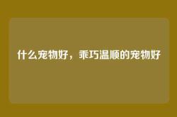 什么宠物好，乖巧温顺的宠物好