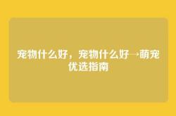 宠物什么好，宠物什么好→萌宠优选指南