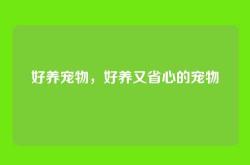 好养宠物，好养又省心的宠物