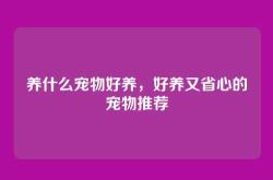 养什么宠物好养，好养又省心的宠物推荐