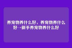 养宠物养什么好，养宠物养什么好→新手养宠物养什么好