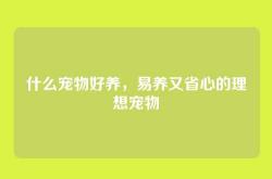 什么宠物好养，易养又省心的理想宠物