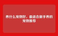 养什么宠物好，最适合新手养的宠物推荐