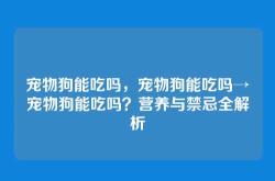宠物狗能吃吗，宠物狗能吃吗→宠物狗能吃吗？营养与禁忌全解析