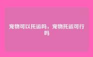 宠物可以托运吗，宠物托运可行吗
