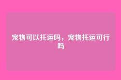 宠物可以托运吗，宠物托运可行吗