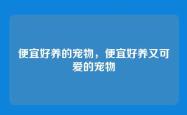 便宜好养的宠物，便宜好养又可爱的宠物